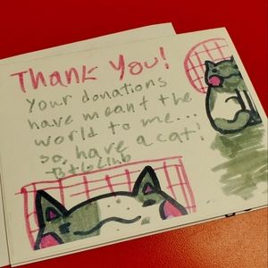 Thanks for checking out my Closet!